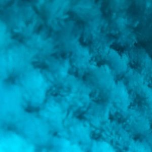 Meet your Posher, Jodie